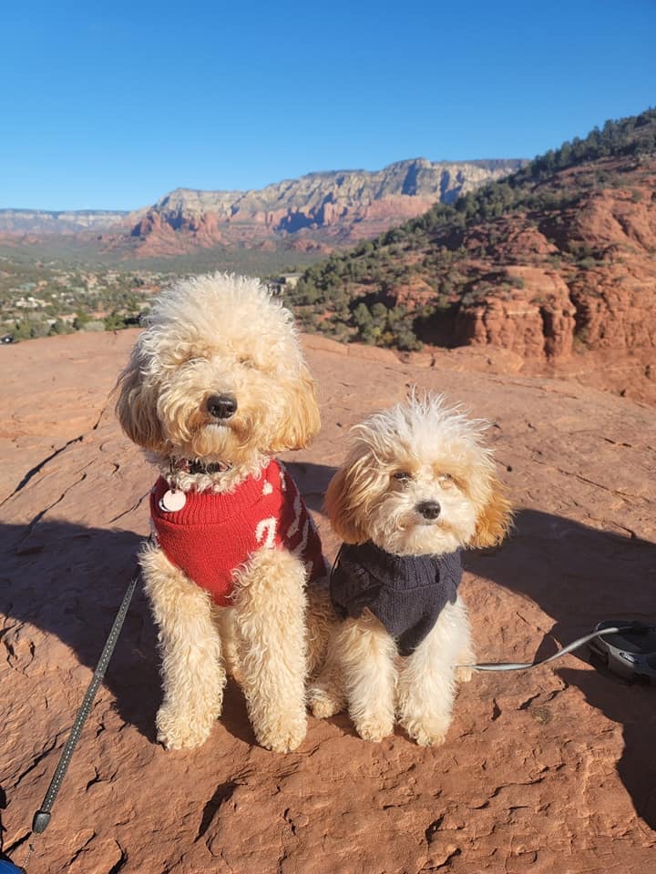 Peaches and Pikachu in Sedona